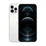 iphone 12 pro max silver